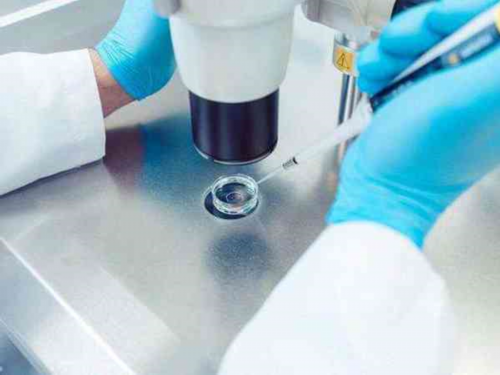 沈阳高龄备孕真实分享：治疗闭经不孕的试管医院成功经验