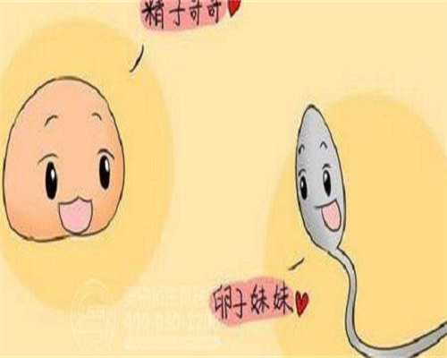沈阳三代试管科普：双卵巢多囊单身女性如何科学促排卵？